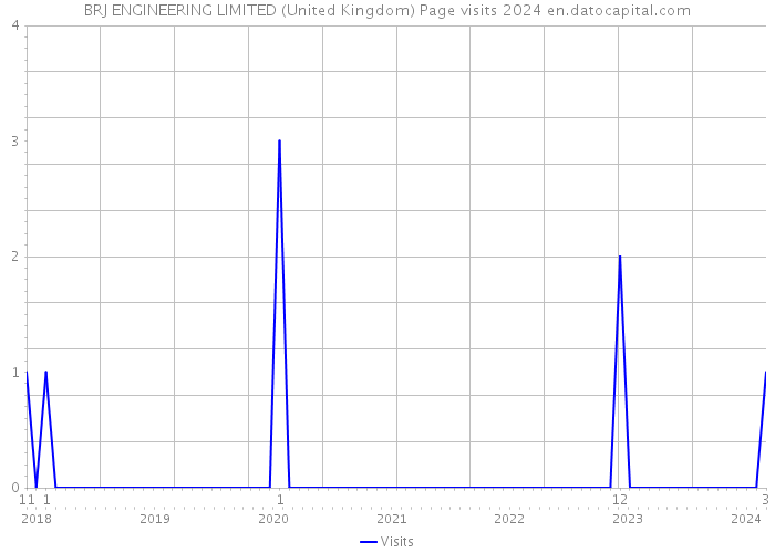 BRJ ENGINEERING LIMITED (United Kingdom) Page visits 2024 