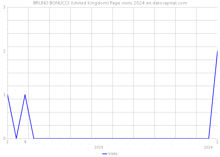 BRUNO BONUCCI (United Kingdom) Page visits 2024 