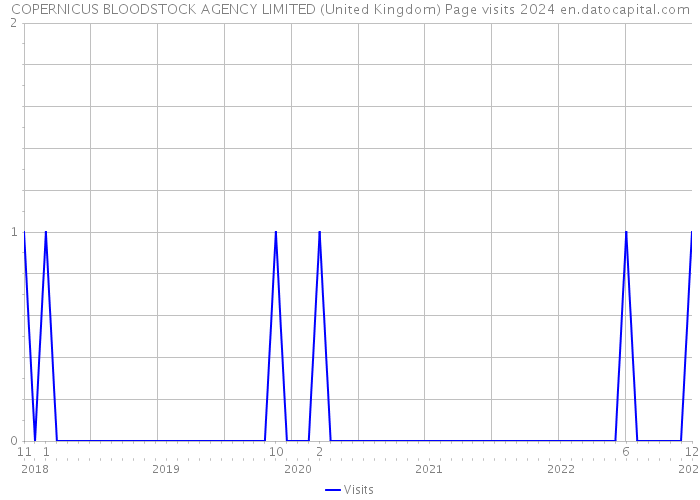 COPERNICUS BLOODSTOCK AGENCY LIMITED (United Kingdom) Page visits 2024 