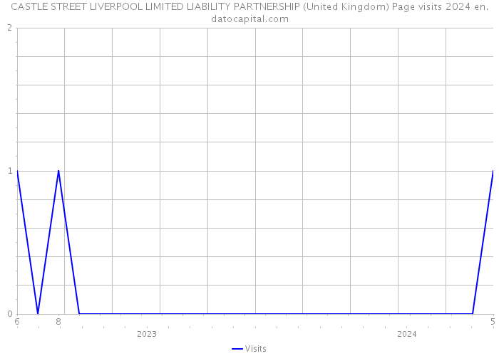 CASTLE STREET LIVERPOOL LIMITED LIABILITY PARTNERSHIP (United Kingdom) Page visits 2024 