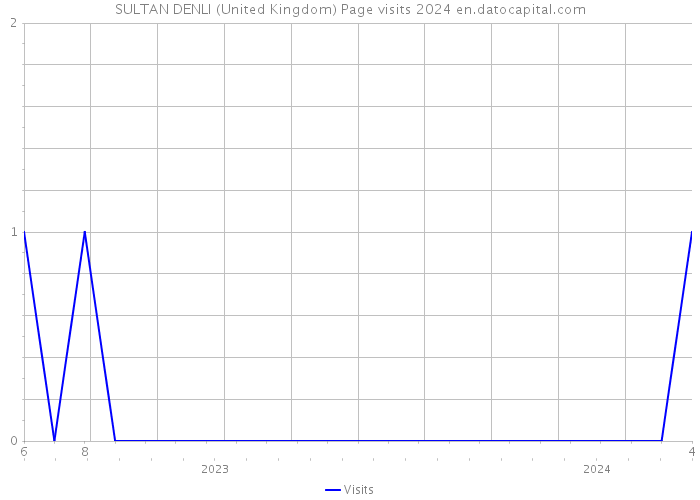 SULTAN DENLI (United Kingdom) Page visits 2024 