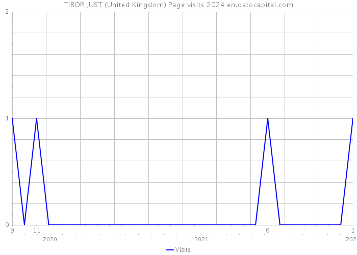 TIBOR JUST (United Kingdom) Page visits 2024 