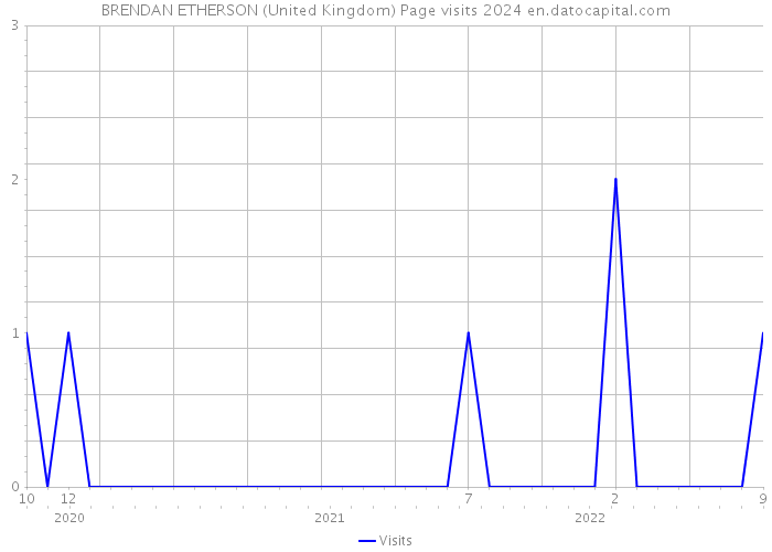BRENDAN ETHERSON (United Kingdom) Page visits 2024 