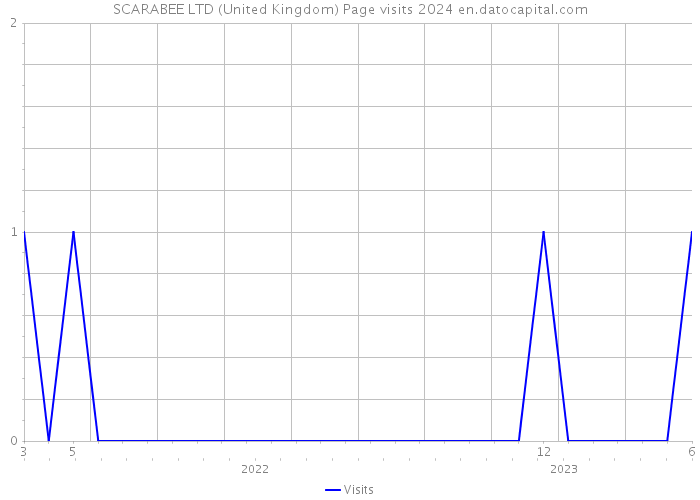 SCARABEE LTD (United Kingdom) Page visits 2024 