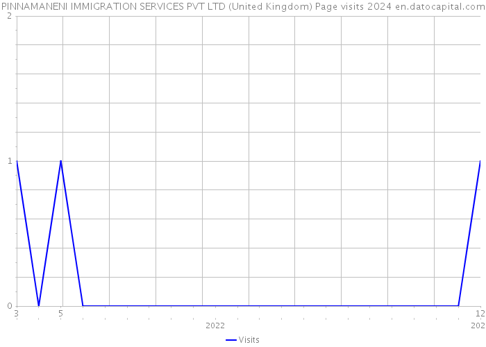 PINNAMANENI IMMIGRATION SERVICES PVT LTD (United Kingdom) Page visits 2024 