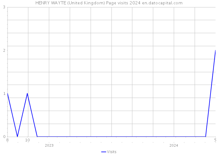 HENRY WAYTE (United Kingdom) Page visits 2024 