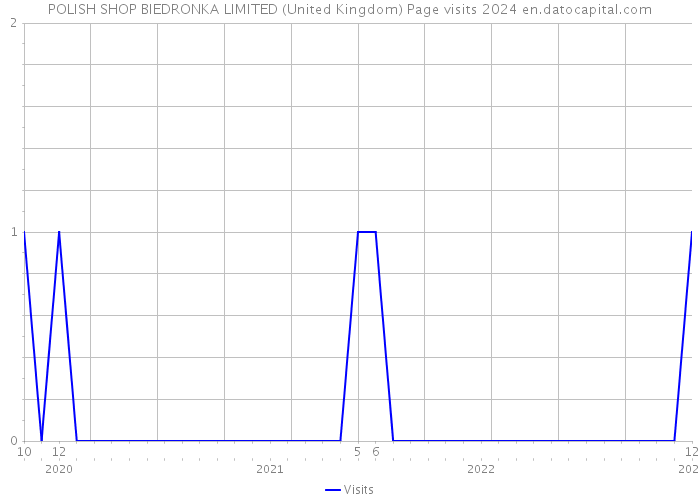 POLISH SHOP BIEDRONKA LIMITED (United Kingdom) Page visits 2024 