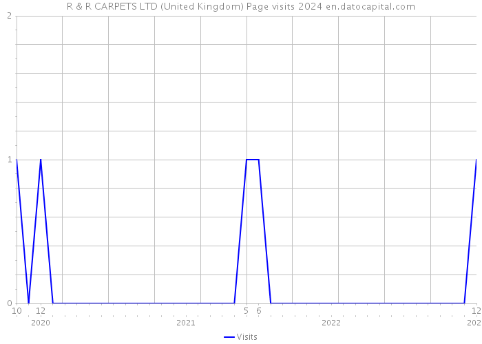 R & R CARPETS LTD (United Kingdom) Page visits 2024 