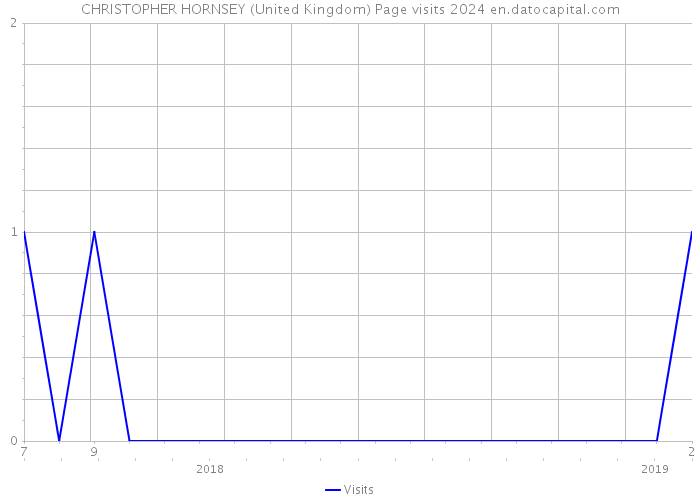 CHRISTOPHER HORNSEY (United Kingdom) Page visits 2024 