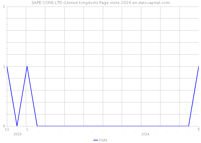 SAPE CONS LTD (United Kingdom) Page visits 2024 
