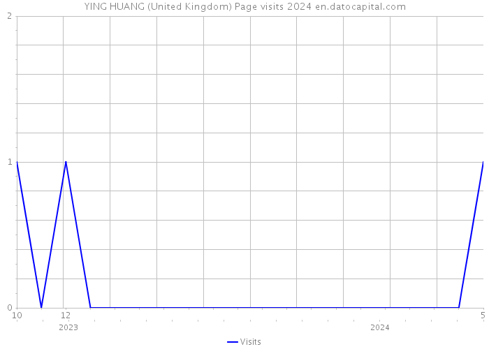 YING HUANG (United Kingdom) Page visits 2024 