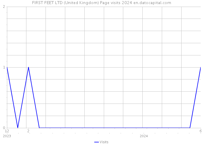FIRST FEET LTD (United Kingdom) Page visits 2024 