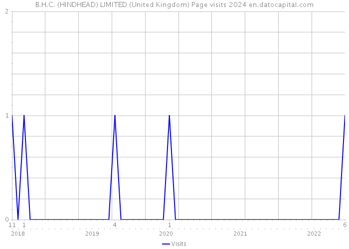 B.H.C. (HINDHEAD) LIMITED (United Kingdom) Page visits 2024 