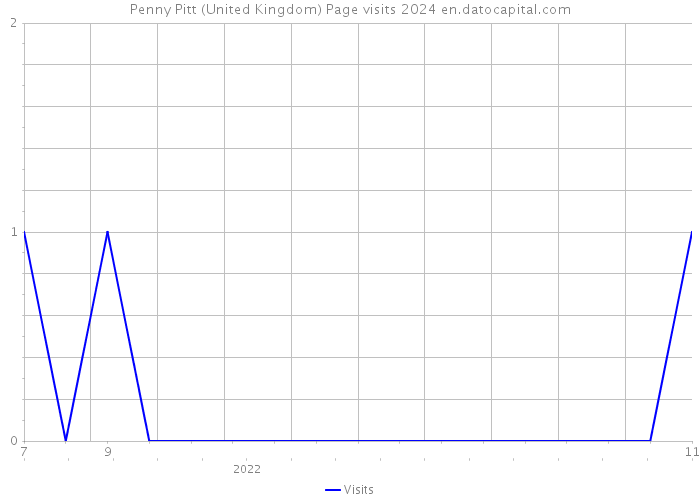 Penny Pitt (United Kingdom) Page visits 2024 
