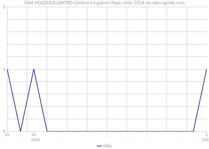 SAM HOLDINGS LIMITED (United Kingdom) Page visits 2024 
