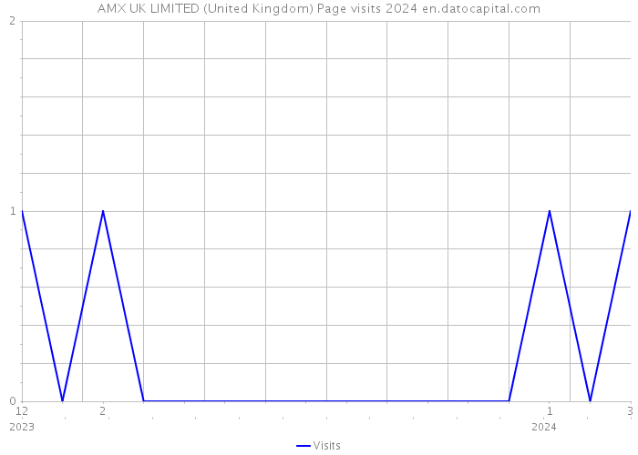 AMX UK LIMITED (United Kingdom) Page visits 2024 