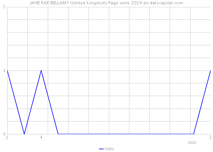 JANE RAE BELLAMY (United Kingdom) Page visits 2024 