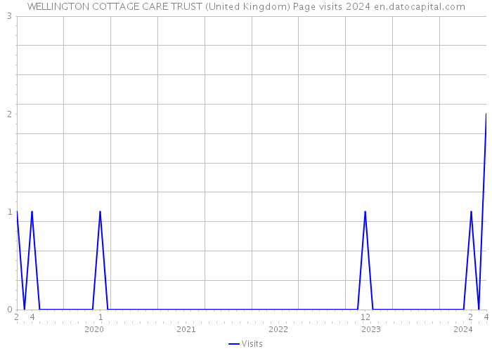 WELLINGTON COTTAGE CARE TRUST (United Kingdom) Page visits 2024 