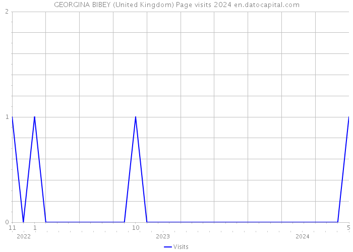 GEORGINA BIBEY (United Kingdom) Page visits 2024 