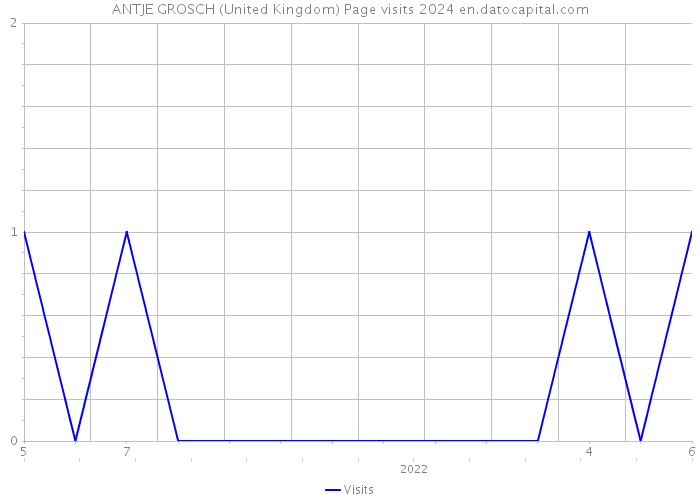 ANTJE GROSCH (United Kingdom) Page visits 2024 