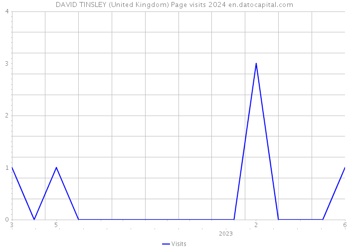 DAVID TINSLEY (United Kingdom) Page visits 2024 