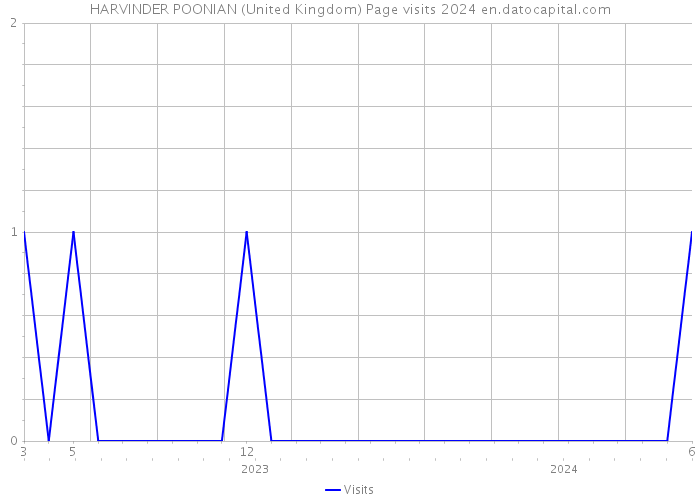 HARVINDER POONIAN (United Kingdom) Page visits 2024 