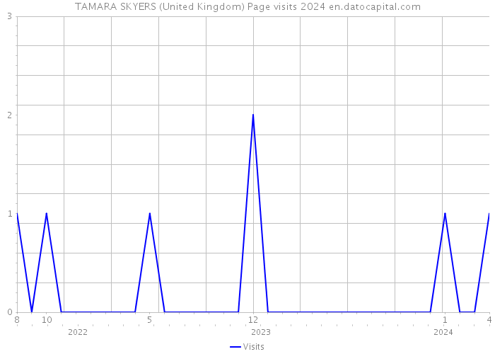 TAMARA SKYERS (United Kingdom) Page visits 2024 