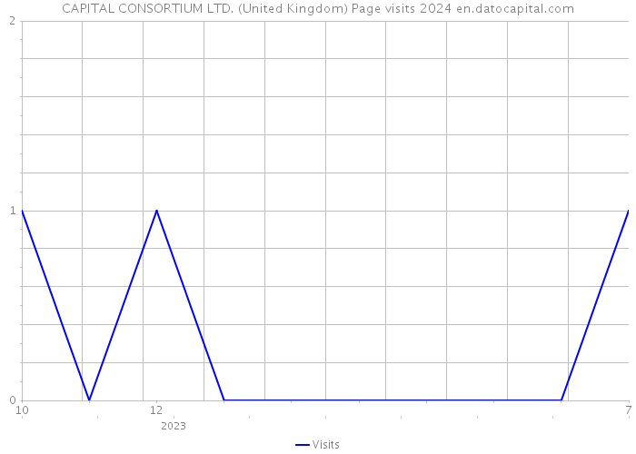 CAPITAL CONSORTIUM LTD. (United Kingdom) Page visits 2024 