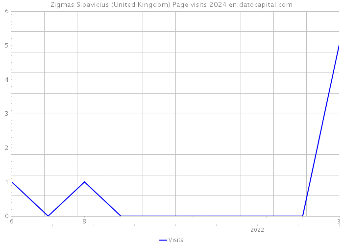Zigmas Sipavicius (United Kingdom) Page visits 2024 
