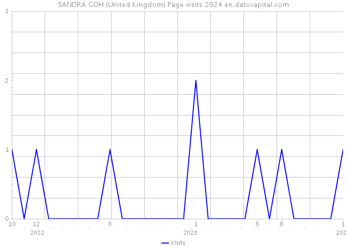 SANDRA GOH (United Kingdom) Page visits 2024 