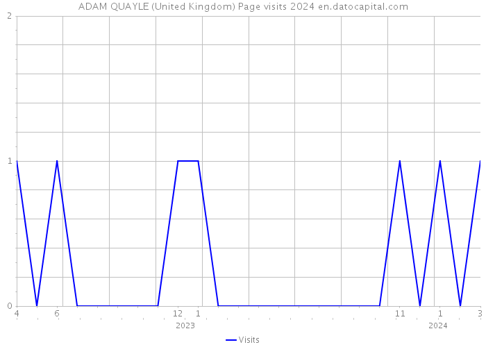 ADAM QUAYLE (United Kingdom) Page visits 2024 