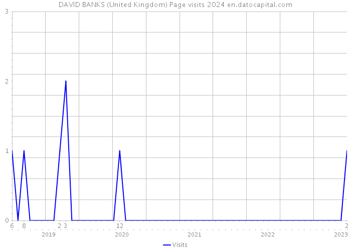 DAVID BANKS (United Kingdom) Page visits 2024 