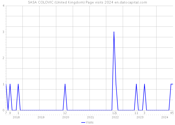 SASA COLOVIC (United Kingdom) Page visits 2024 
