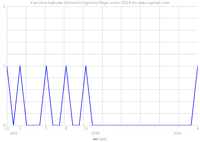 Karolina Labuda (United Kingdom) Page visits 2024 