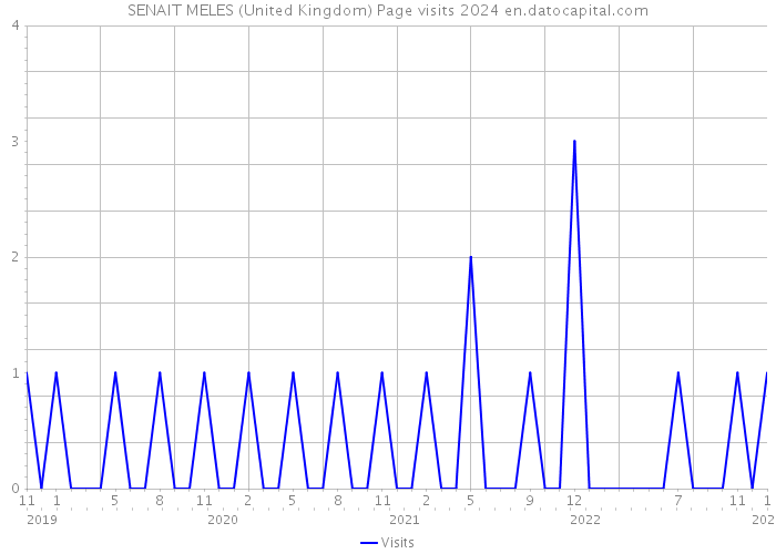 SENAIT MELES (United Kingdom) Page visits 2024 
