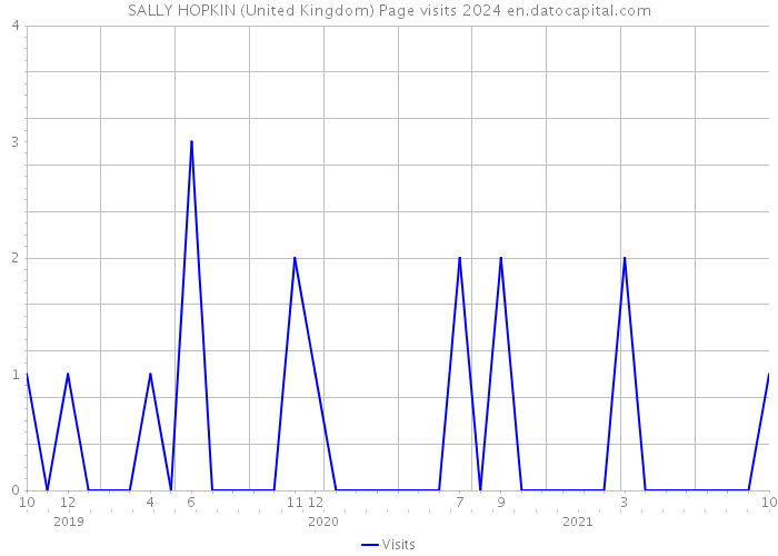 SALLY HOPKIN (United Kingdom) Page visits 2024 