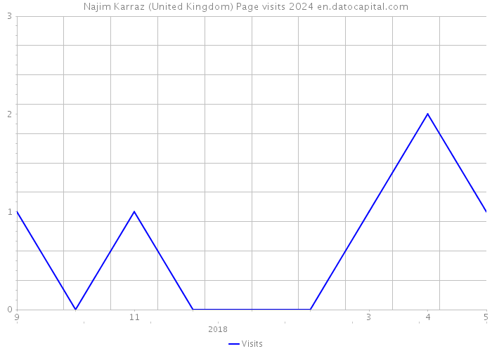 Najim Karraz (United Kingdom) Page visits 2024 