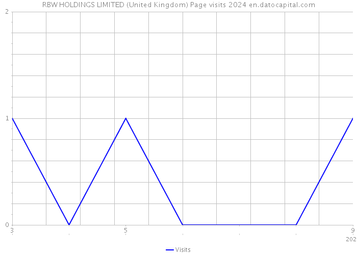 RBW HOLDINGS LIMITED (United Kingdom) Page visits 2024 