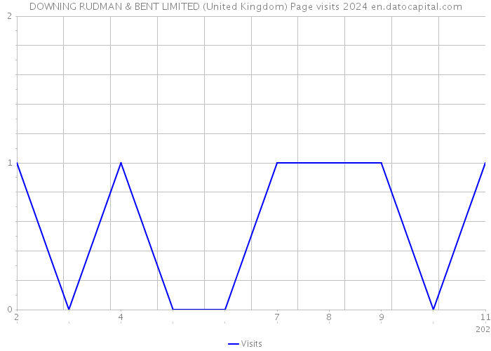 DOWNING RUDMAN & BENT LIMITED (United Kingdom) Page visits 2024 