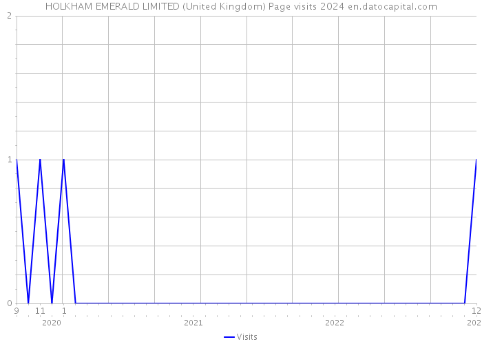 HOLKHAM EMERALD LIMITED (United Kingdom) Page visits 2024 