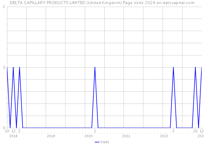 DELTA CAPILLARY PRODUCTS LIMITED (United Kingdom) Page visits 2024 