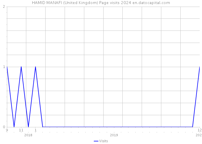 HAMID MANAFI (United Kingdom) Page visits 2024 
