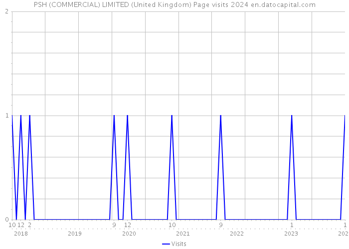 PSH (COMMERCIAL) LIMITED (United Kingdom) Page visits 2024 