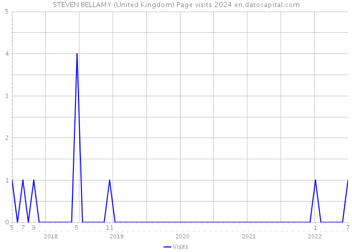 STEVEN BELLAMY (United Kingdom) Page visits 2024 