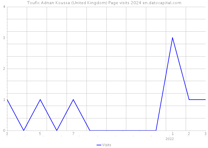 Toufic Adnan Koussa (United Kingdom) Page visits 2024 
