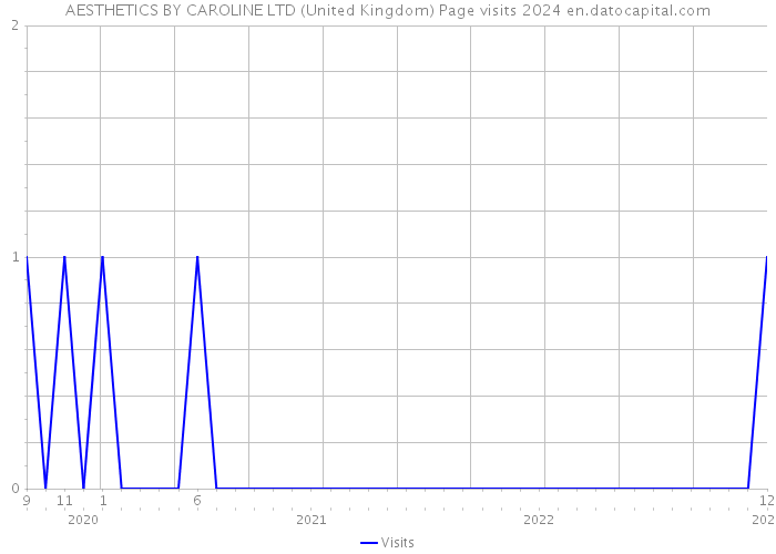 AESTHETICS BY CAROLINE LTD (United Kingdom) Page visits 2024 