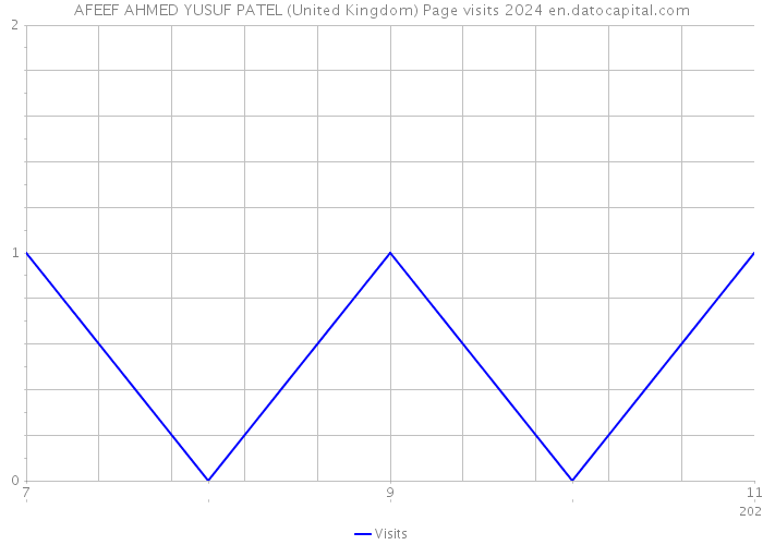 AFEEF AHMED YUSUF PATEL (United Kingdom) Page visits 2024 