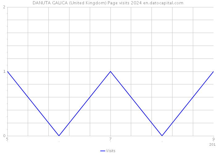 DANUTA GALICA (United Kingdom) Page visits 2024 