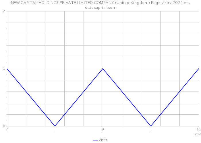 NEW CAPITAL HOLDINGS PRIVATE LIMITED COMPANY (United Kingdom) Page visits 2024 