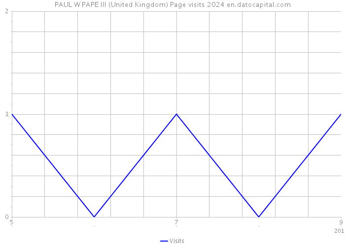 PAUL W PAPE III (United Kingdom) Page visits 2024 